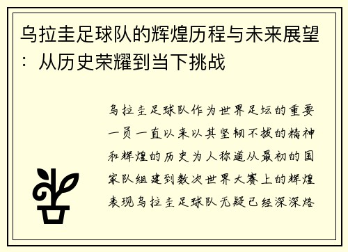 乌拉圭足球队的辉煌历程与未来展望：从历史荣耀到当下挑战