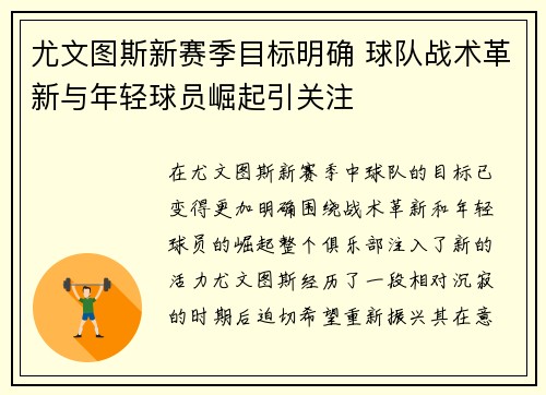尤文图斯新赛季目标明确 球队战术革新与年轻球员崛起引关注