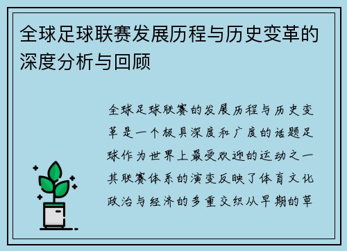 全球足球联赛发展历程与历史变革的深度分析与回顾